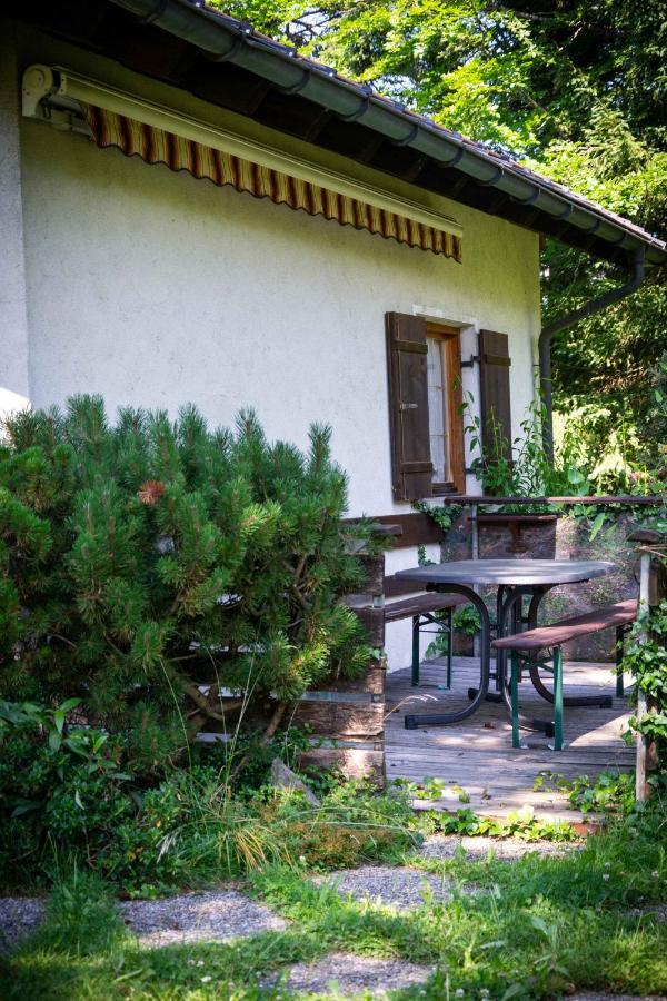 Ferienhaus Schetterאג מראה חיצוני תמונה